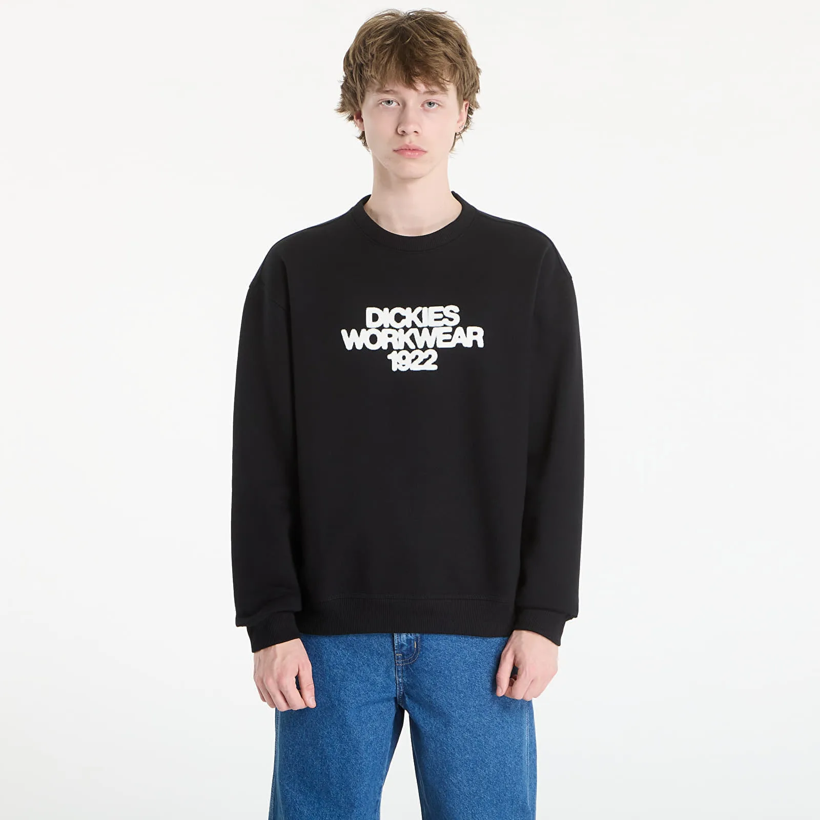 Мъжки суитшърт Dickies Torrey черен – Black – Мъжки суитшърти без цип